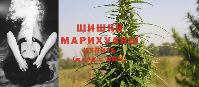 купить наркотик  Бородино  Бошки марихуана Bruce Banner 